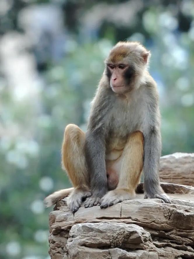 ��Щֲ��Ӱ������ˮ