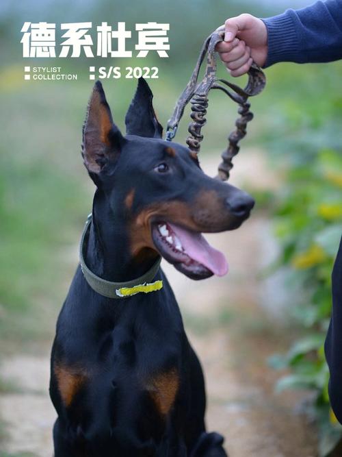 صǩ71ǩǩȫ_Ƿ鷳(صǩ71ǩǩȫ_Ƿк)