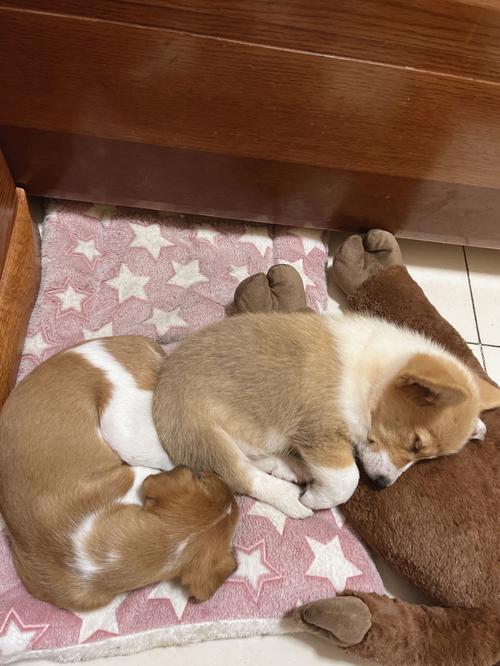 ��΢����һ�����ܿ���