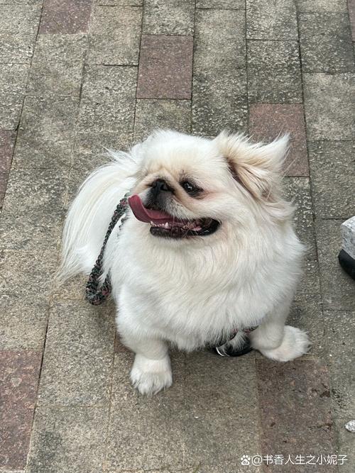 �����е��Ը��Ƣ��Ů�� ��������������ı�