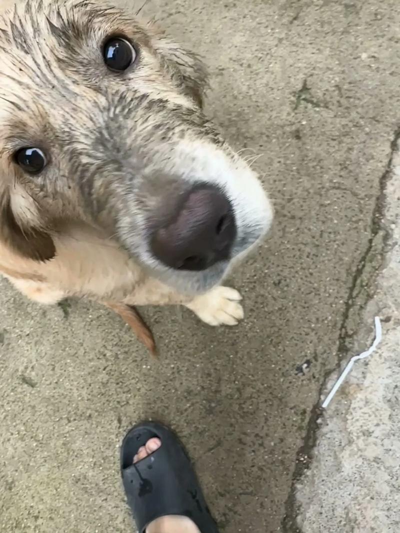 ƺŸf27t96鼪ǷӰҵгȫൽ