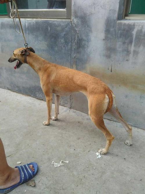 5ǩǷڷḻ˵(5ǩ_Ƿڷḻ˵)