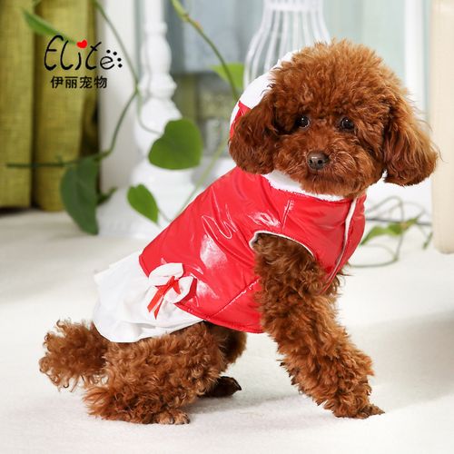 天鹅湖风水:寺庙风水:法师:为什么佛教的寺庙,道家的宫观都是 天鹅湖风水:寺庙风水:法师:为什么佛教的寺庙,道家的宫观都是