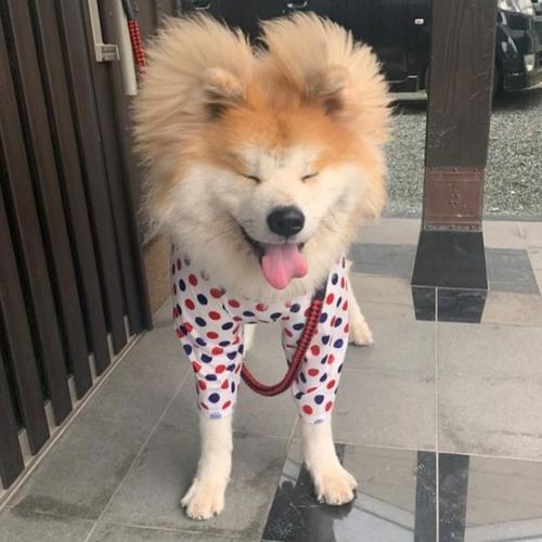 ���ļƴ���-���ļƽ�ɫ����
