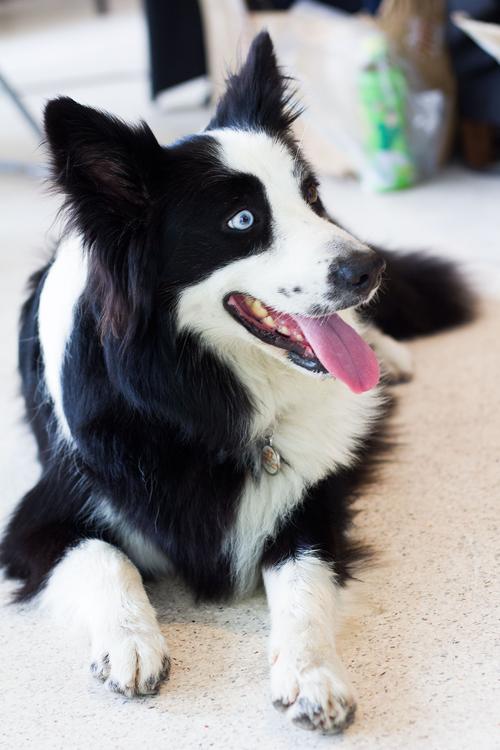 风云必胜片头曲 风云必胜纯音乐插曲 风云必胜片头曲 风云必胜纯音乐插曲