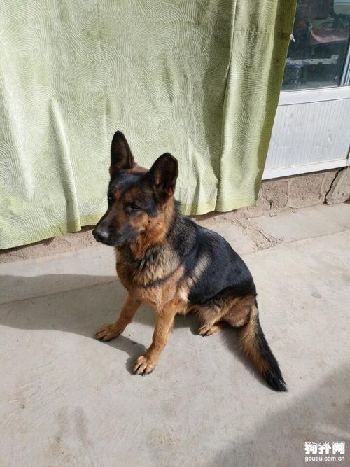 ��Ů���ֻ���ͼ��˵��