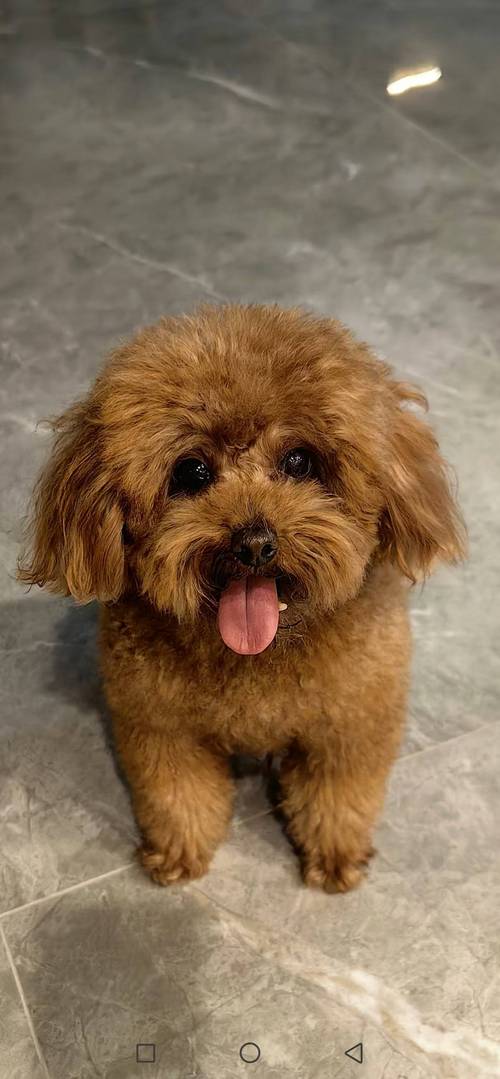 新车提回家有什么讲究 新车提回家有什么讲究