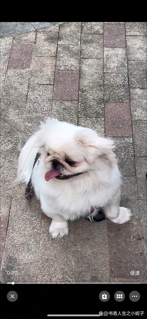 卫生间位置关系财运 卫生间位置关系财运