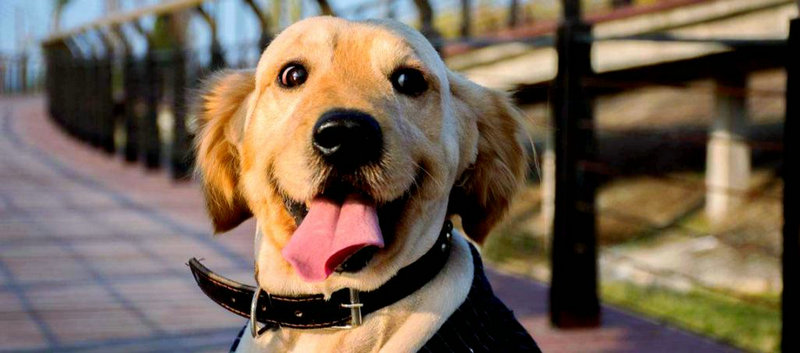 双子座和双鱼座吵架的矛盾点 双子座和双鱼座吵架的矛盾点