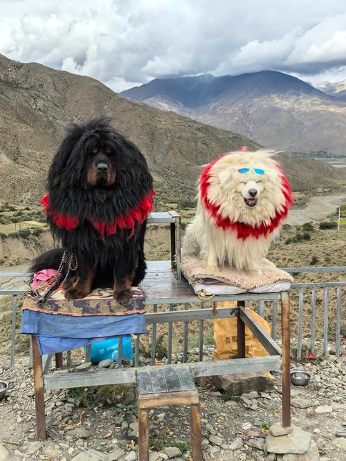 哪种方法确定财位最准,风水财位,怎么确定家中财 哪种方法确定财位最准,风水财位,怎么确定家中财