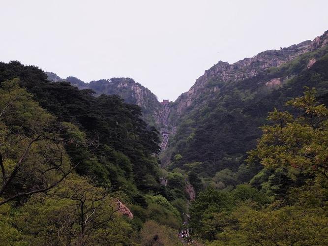 83年猪的本命佛能否改善夫妻健康运问题(83年猪的本命佛会对夫妻健康运产生影响吗) 83年猪的本命佛能否改善夫妻健康运问题(83年猪的本命佛会对夫妻健康运产生影响吗)