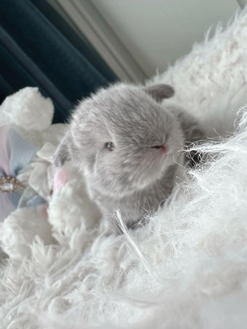 ǩ34ǩ_ɷĿ(ǩ34ǩӦɷƲ)