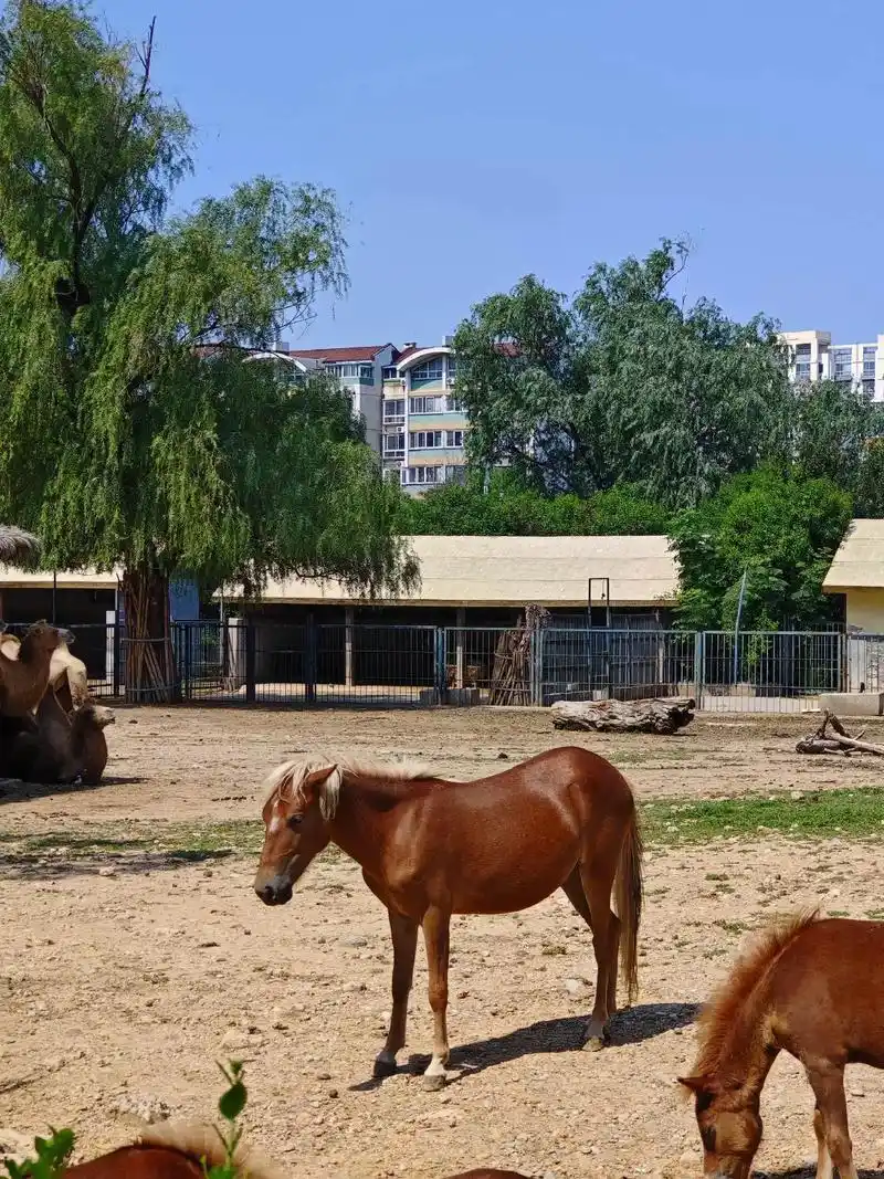 �ⷿ��լʲô����