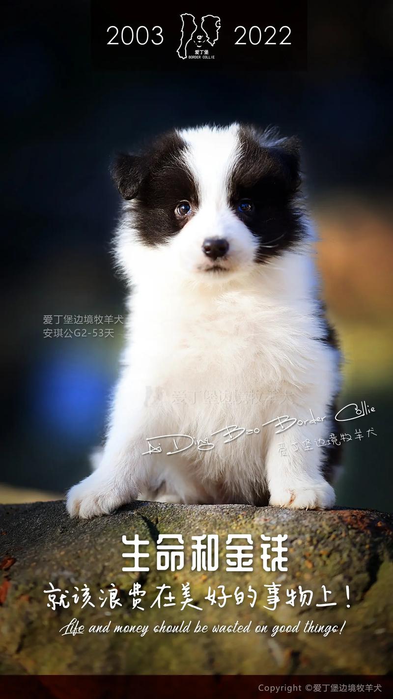 耳垂薄的女人面相好不好 耳垂薄的女人面相好不好