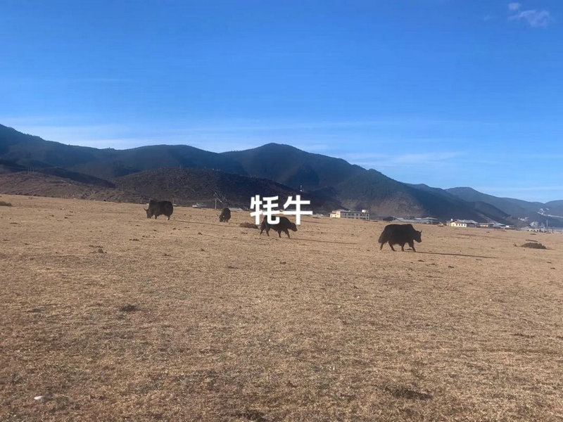寅山未向阴宅风水 寅山未向阴宅风水