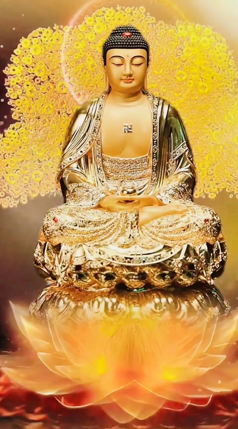 属猪的人起名忌讳什么 属猪的人起名忌讳什么