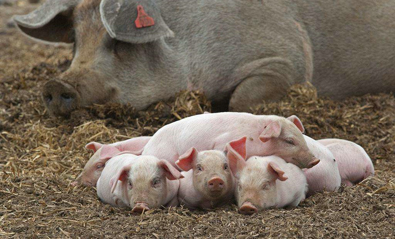 巾帼枭雄之义海豪情片尾曲 巾帼枭雄之义海豪情片尾曲