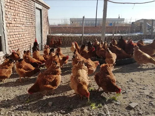 算命免费生辰八字免费免费生辰八字婚姻测算,免费生辰八字算婚姻 算命免费生辰八字免费免费生辰八字婚姻测算,免费生辰八字算婚姻