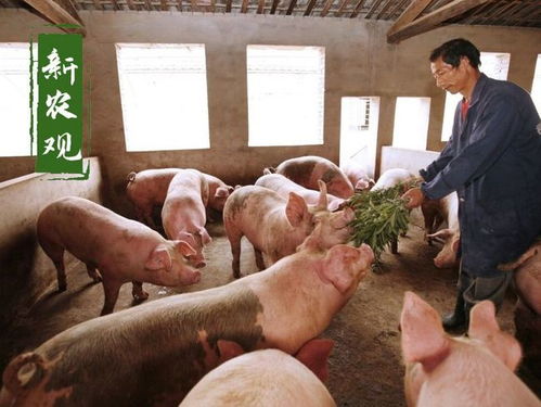 阴宅旺儿子损女儿 阴宅旺儿子损女儿