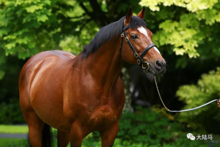关于风水的书籍,办公室的风水方位讲究和风水位 关于风水的书籍,办公室的风水方位讲究和风水位