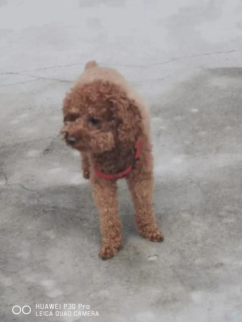 车牌号153吉凶真的会影响我们的运势吗会给生活带来哪些不利因素是否需要特别关注这些问题 车牌号153吉凶真的会影响我们的运势吗会给生活带来哪些不利因素是否需要特别关注这些问题