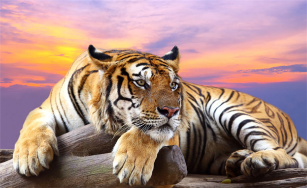 易烊千玺电影有哪些易烊千玺主演的电影有哪 易烊千玺电影有哪些易烊千玺主演的电影有哪