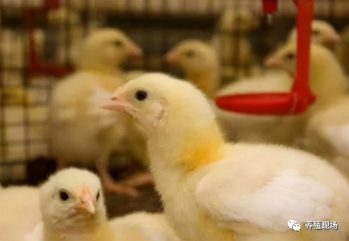 杨俊毅个人资料和影视作品当红演员事业巅峰 杨俊毅个人资料和影视作品当红演员事业巅峰