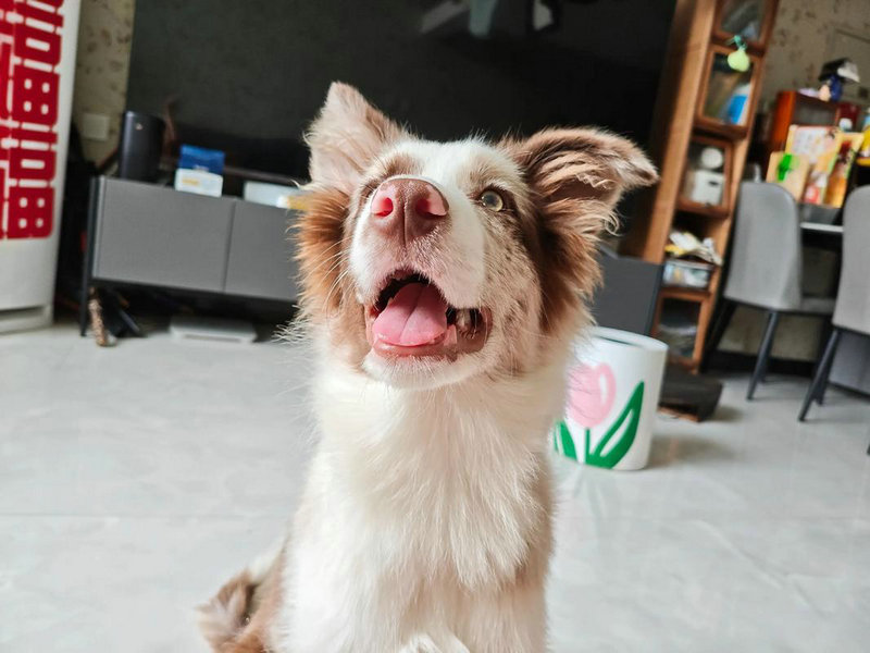 그̫´η̫Ӱйϵ(그̫´η̫ǷӰĹϵչ)