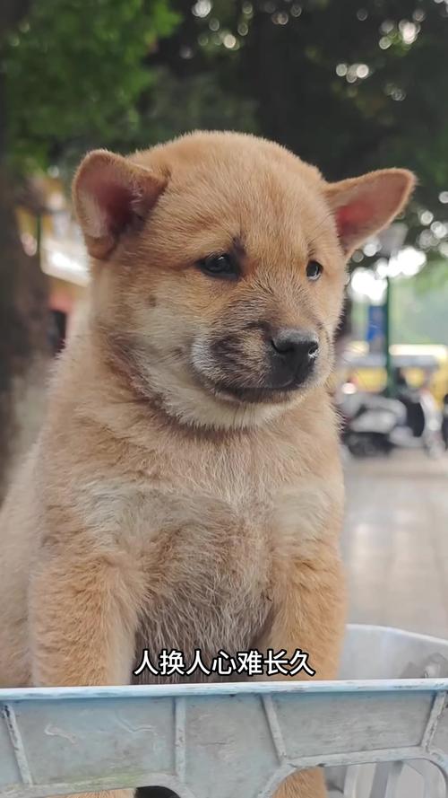 й׾оѧˮ ׾ܰ칫6ķˮ