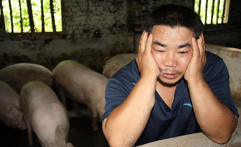 水瓶女恋爱中付出,十二星座谈恋爱时哪个星座会 水瓶女恋爱中付出,十二星座谈恋爱时哪个星座会