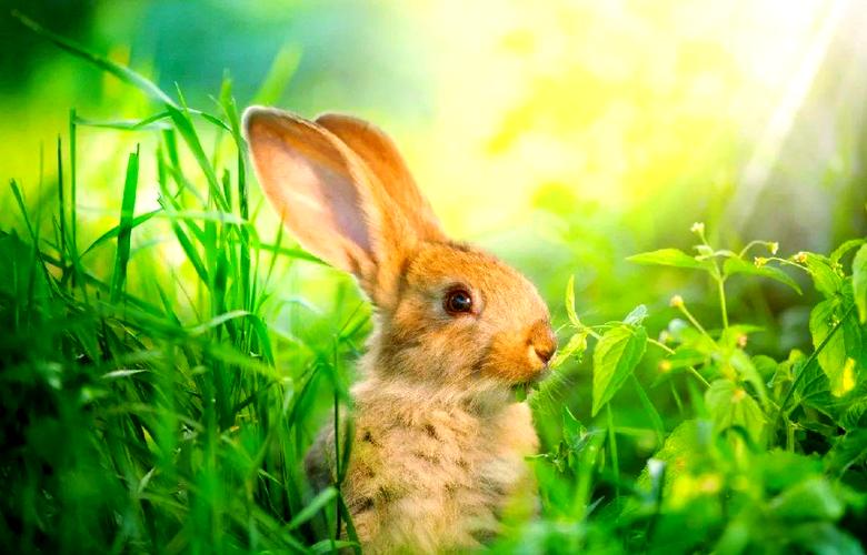 车牌数字797吉凶查询是否会影响我们的行车安全和运势需要引起重视吗 车牌数字797吉凶查询是否会影响我们的行车安全和运势需要引起重视吗