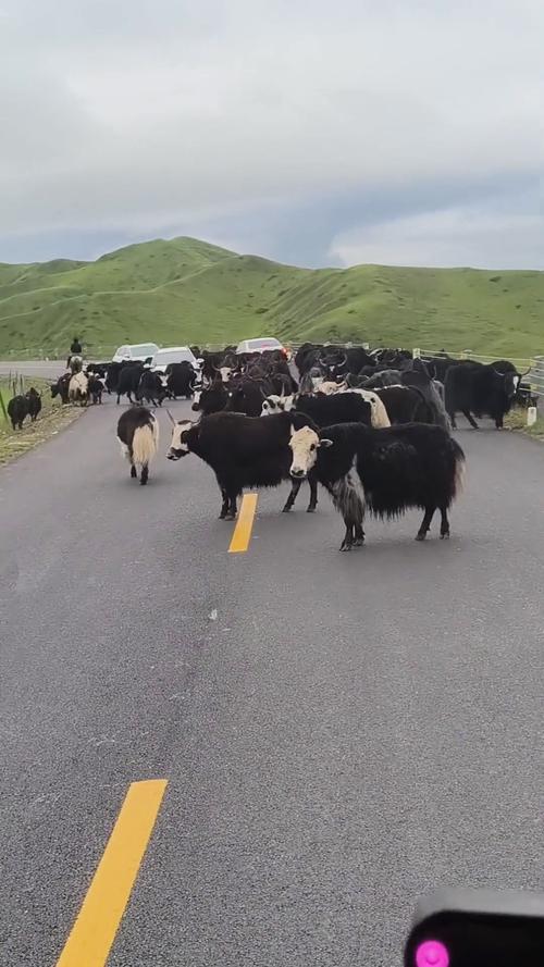 杨洋迪丽热巴倡议理性追星2025迪丽热巴杨洋澄 杨洋迪丽热巴倡议理性追星2025迪丽热巴杨洋澄