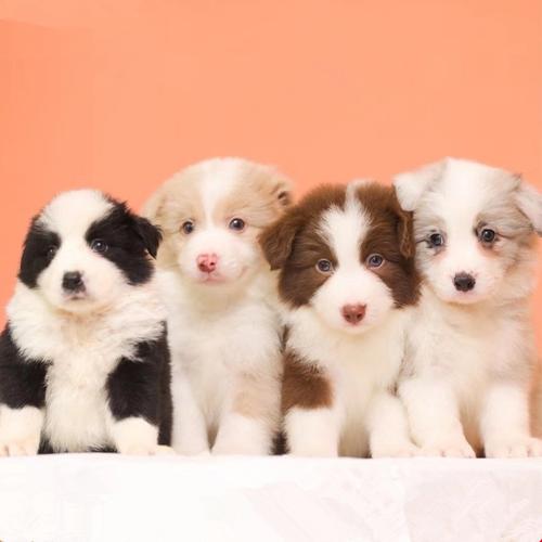 үү��ˮ�����������үүȥ����Ҫ����ˮ��ʲô��˼