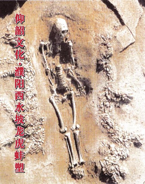 十二生肖第四个属相是什么(请高人指点,十二生肖排第四,是什么生肖急) 十二生肖第四个属相是什么(请高人指点,十二生肖排第四,是什么生肖急)