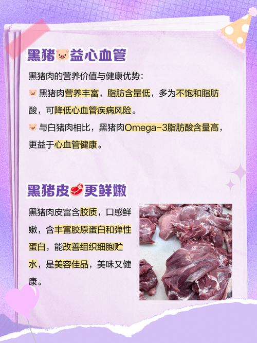 ���Ӿ����Խ��� �������������Խ���