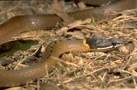 ڵĺӶǴ߲ٸ,ô׼ȷ (ִ)