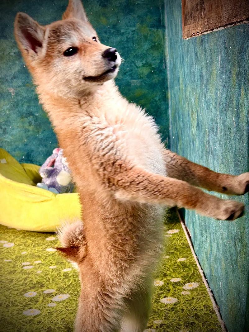 ����Ů��Աȥ�� ����Ů������˭