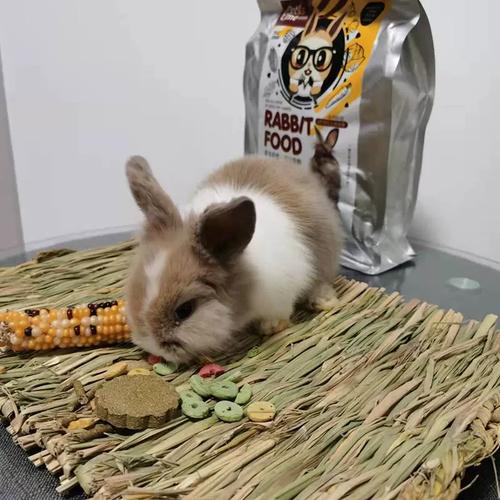 ��ô�ж���������