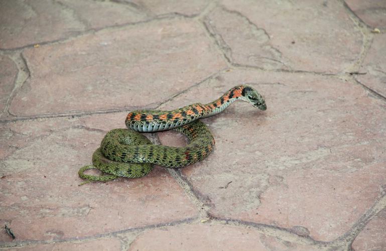 李荣浩的成名曲是哪一首 李荣浩的成名曲是哪一首