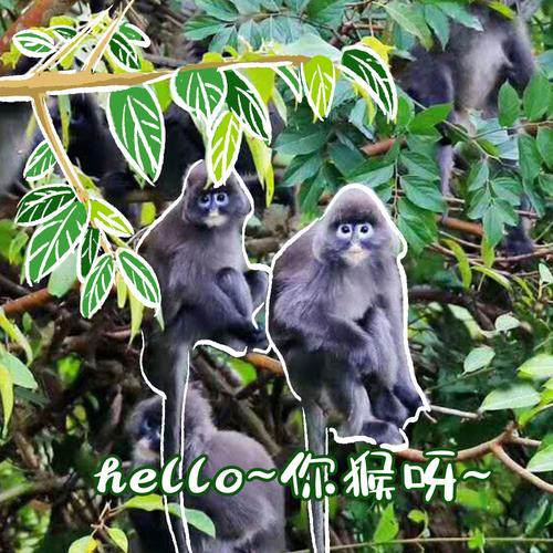 ��������Ů�İ����