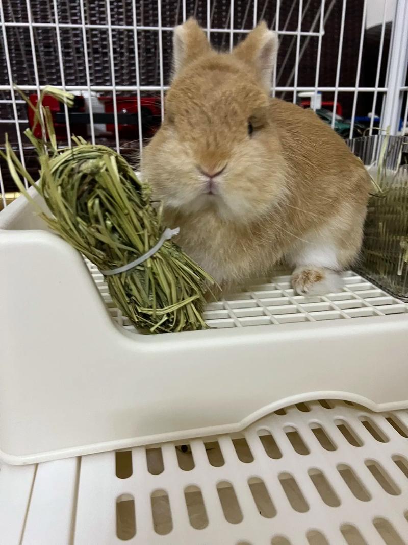 �����������µ�����