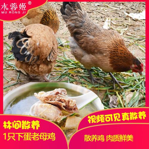 属虎的人的性格是什么样的 属虎的人的性格是什么样的