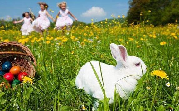 �����ɷ�˿΢����������������