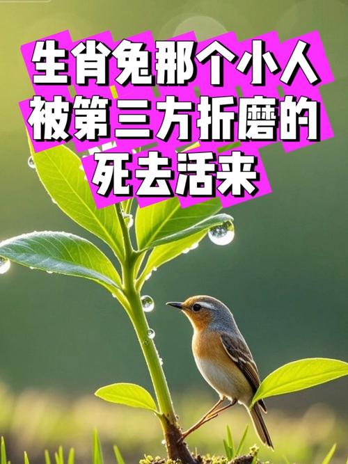 ��̫���Ƿ��Ժ����˵������������Ӱ��(��̫��ᵼ�������ϰ�����Ф������Ӧ��)