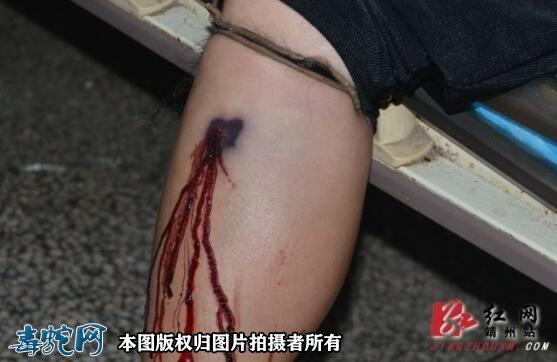 װ����ɫ��ˮ���ɱ���ͼƬ(�������¹�װ��Ч��ͼ��ɫ�����¹�ڷŽ���)