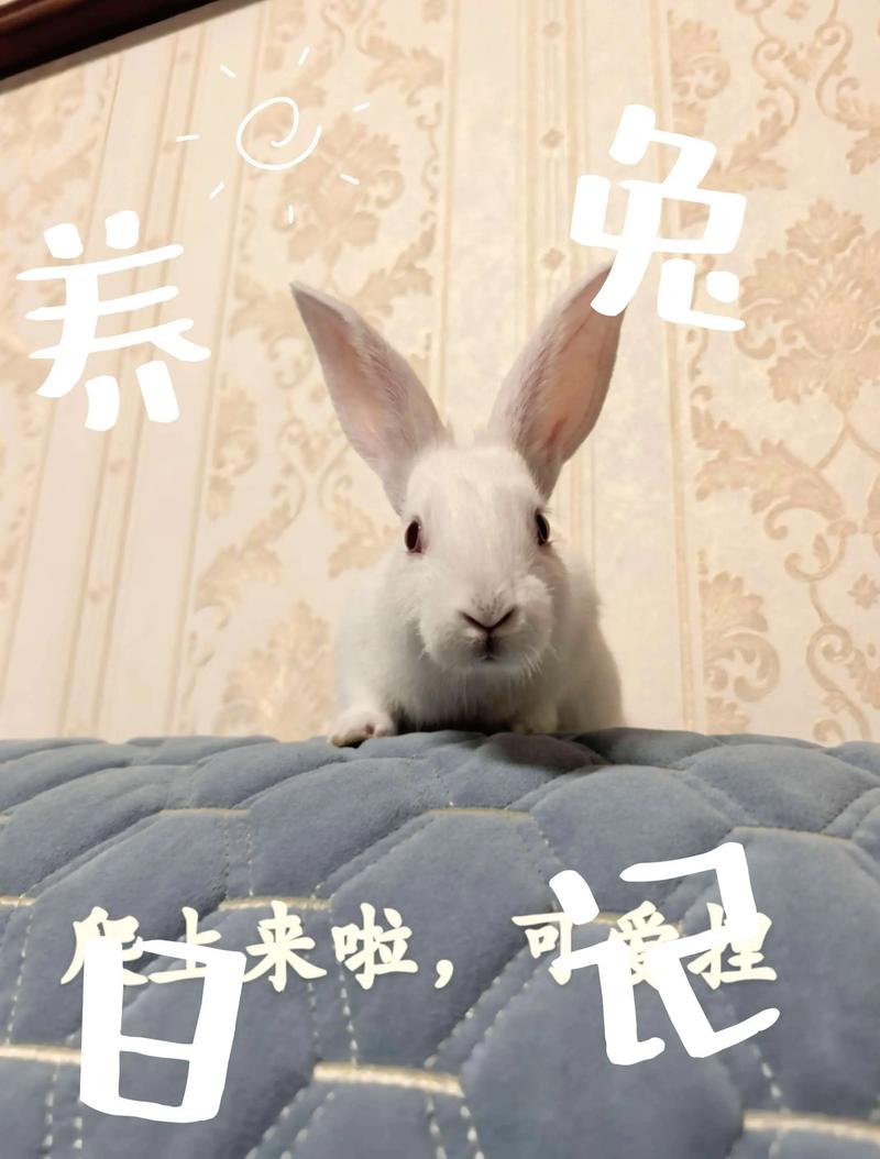 购房看风水 购房看风水