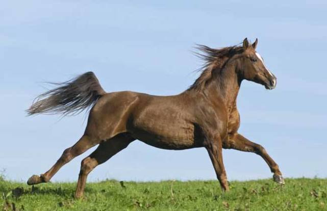 ��¶��δ��·� �᲻�����