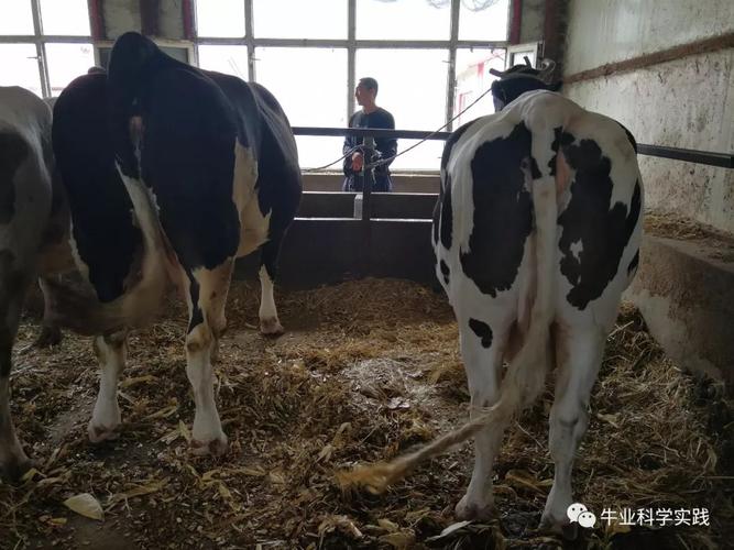 测字广告真的能让我的创业梦想成真吗(测字广告真的能助你创业成功吗如何判断其有效性) 测字广告真的能让我的创业梦想成真吗(测字广告真的能助你创业成功吗如何判断其有效性)