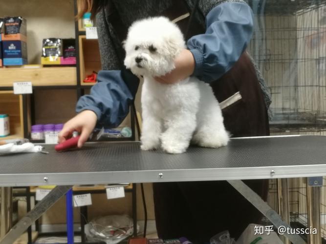 演员沈佳欣图片沈佳欣是谁 演员沈佳欣图片沈佳欣是谁