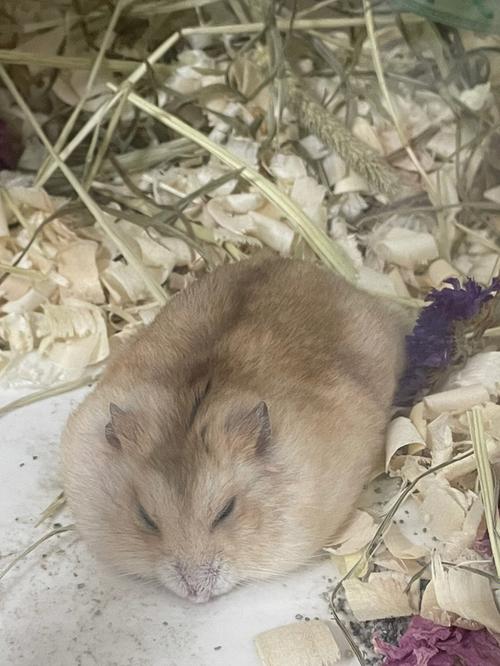 抖音测字的存款状况是否暗示财运不佳(抖音测字的存款状况会如何影响未来财运呢) 抖音测字的存款状况是否暗示财运不佳(抖音测字的存款状况会如何影响未来财运呢)